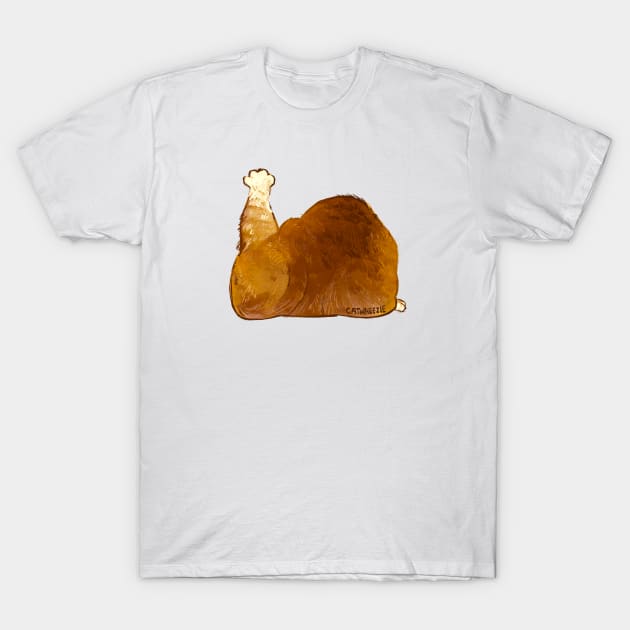 Thanksgiving Turkey Cat T-Shirt by Catwheezie